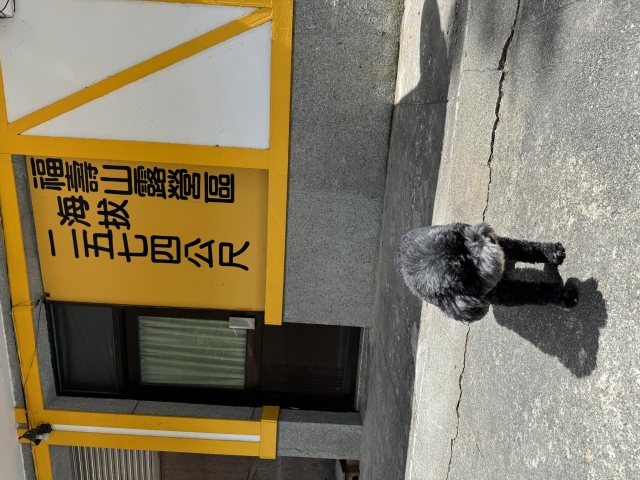 就是愛露營-KZM曬出你的寵物好捧油