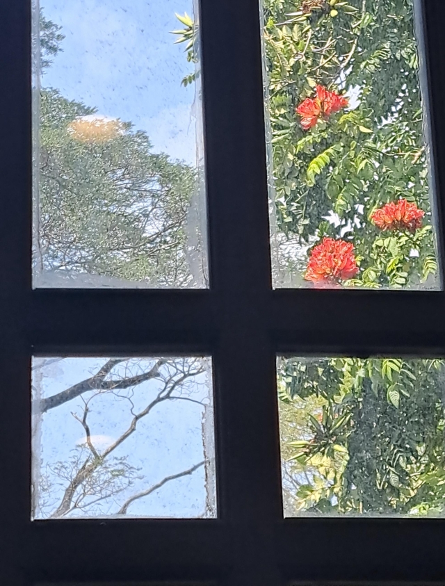 龍崎DOC-蔡美春-窗外的四季-南高輔導團隊114年數位加值競賽-家鄉的痕跡攝影競賽