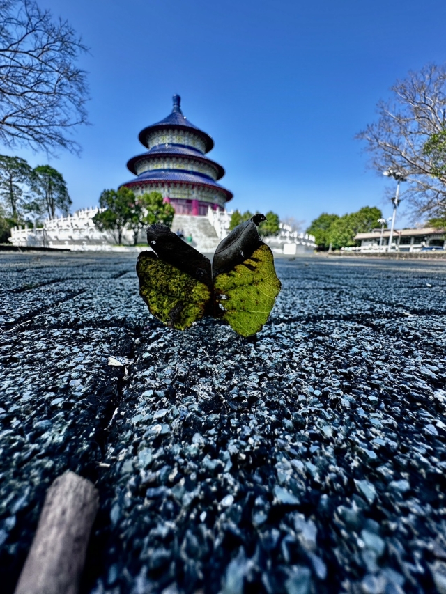 麻豆DOC-吳純雅-烏山頭景點之一 天壇-南高輔導團隊114年數位加值競賽-家鄉的痕跡攝影競賽