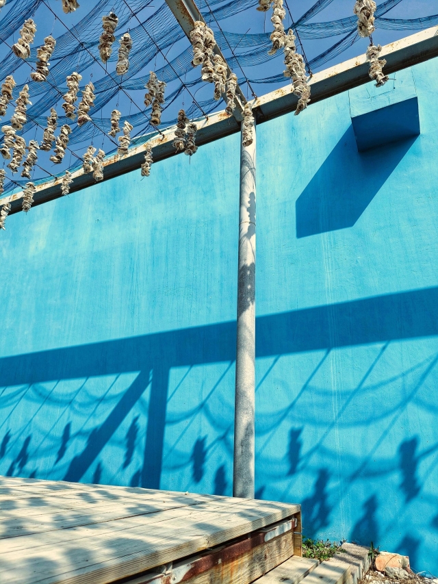 西港DOC-李志勝-鹹味的記憶-南高輔導團隊114年數位加值競賽-家鄉的痕跡攝影競賽