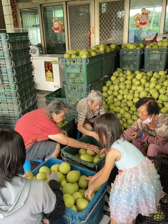 麻豆DOC-吳宛靜-回家‧過柚年-南高輔導團隊114年數位加值競賽-家鄉的痕跡攝影競賽