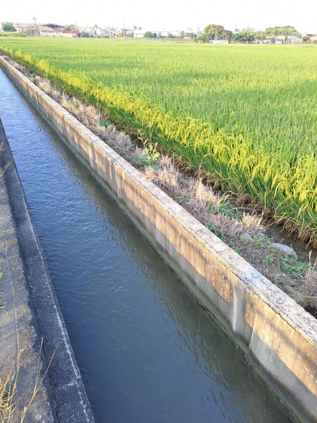 龍崎DOC-張吟如-台灣農業的關鍵設施「灌溉溝渠」-南高輔導團隊114年數位加值競賽-家鄉的痕跡攝影競賽