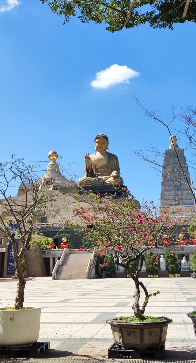 大樹DOC-袁國粹-一切如常-南高輔導團隊114年數位加值競賽-家鄉的痕跡攝影競賽