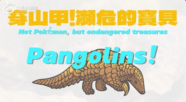 國小中年級英文組 潛力獎-2025六福永續獎: 最佳人氣影片