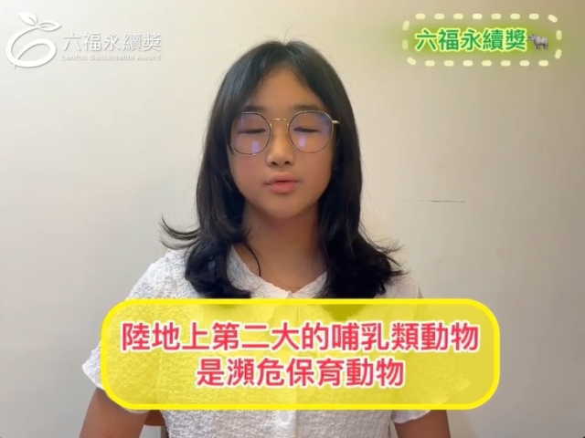 國小高年級中文組 潛力獎 -2025六福永續獎: 最佳人氣影片