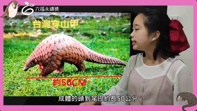 國小高年級中文組 潛力獎-2025六福永續獎: 最佳人氣影片