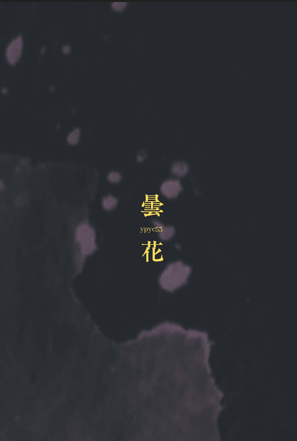 《延平青年》第53期「曇花」-第八屆紀州庵高中校刊競賽：青春編年