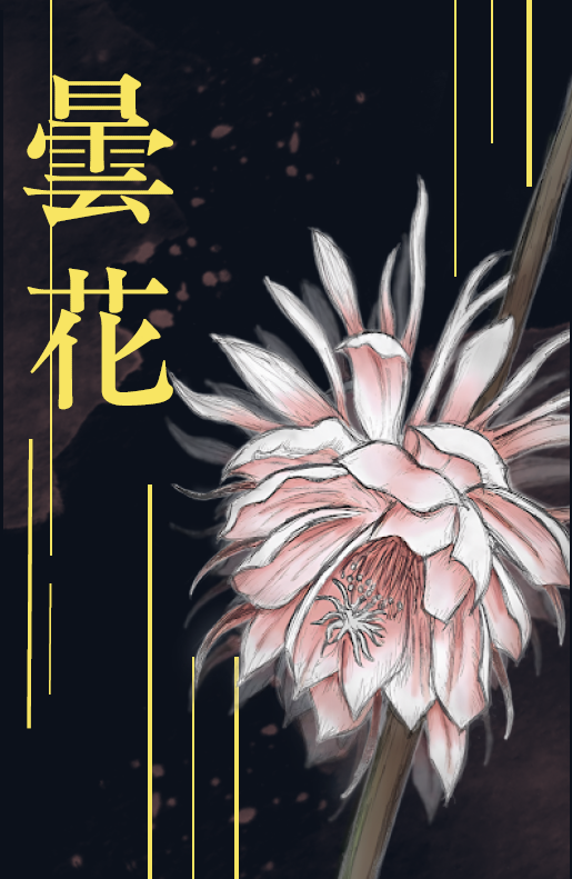 《延平青年》第53期「曇花」-第八屆紀州庵高中校刊競賽：青春編年