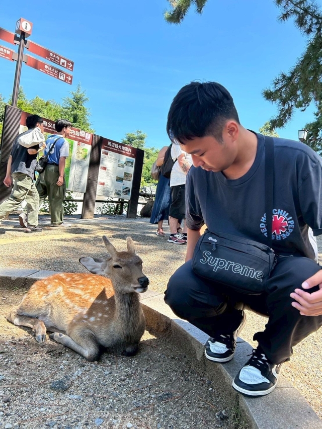 南新竹所 2課 洪紹華-2026 TOYOTA桌曆-桃苗之星