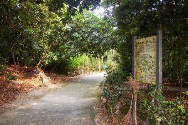 林內龍過脈森林步道-雲林100+景點徵選