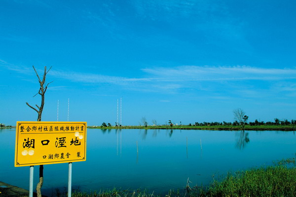 口湖湖口溼地-雲林100+景點徵選