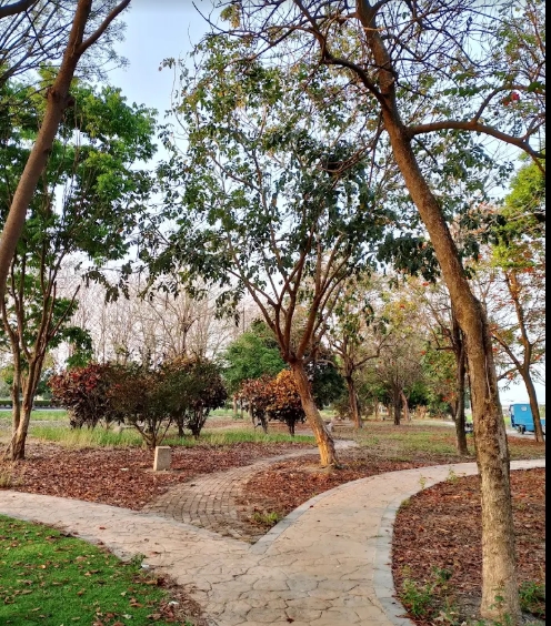 莿桐公園-雲林100+景點徵選