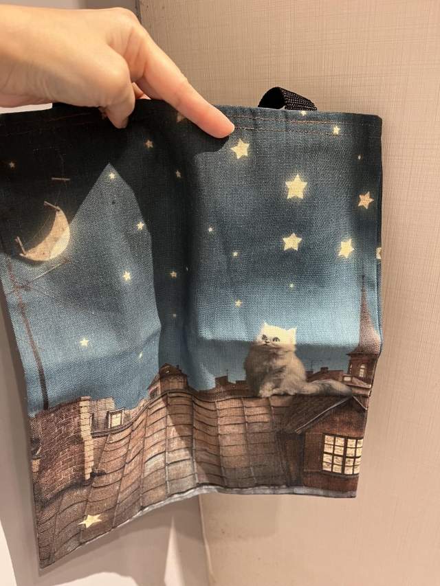 夜遊小貓包-2025朝陽鈕扣街 再生實驗