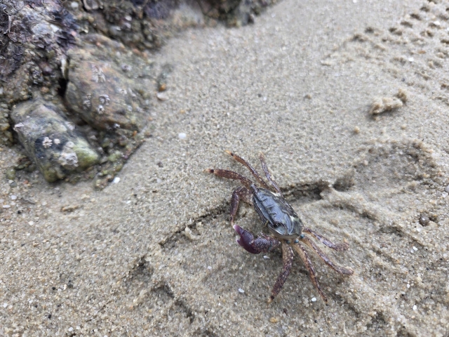 足跡：毀壞海洋生態的無聲證言-金門海洋攝影及寫生作品線上票選活動
