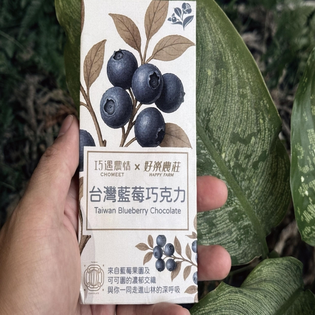 臺灣藍莓風味巧克力-2025 臺中市政府青年創業品牌推廣計畫-十大新創之星遴選活動