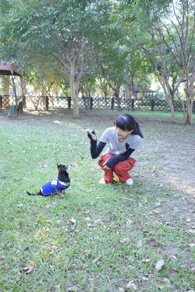 和米腸在一起的美好時光(至善公園(福林)狗狗活動區)-【毛起來拍！紀錄臺北狗公園的幸福瞬間】攝影徵稿與網路票選活動