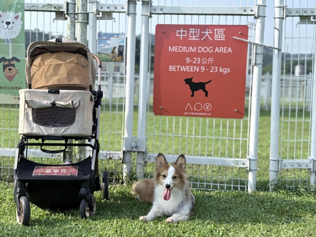 屬於柯基(基米花)的中型狗公園（萬興狗公園）-【毛起來拍！紀錄臺北狗公園的幸福瞬間】攝影徵稿與網路票選活動