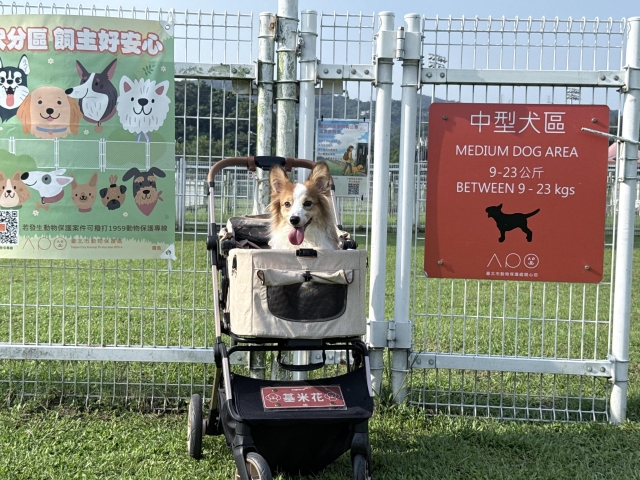 屬於柯基(基米花)的中型狗公園（萬興狗公園）-【毛起來拍！紀錄臺北狗公園的幸福瞬間】攝影徵稿與網路票選活動