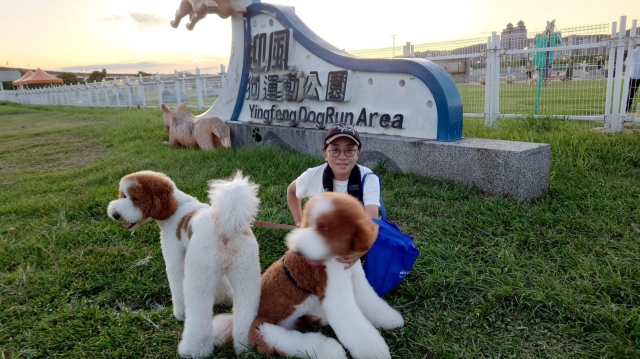 「別怕, 爸爸在 !」(迎風狗運動公園)-【毛起來拍！紀錄臺北狗公園的幸福瞬間】攝影徵稿與網路票選活動