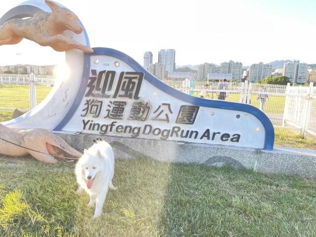 滿足（於迎風狗運動公園）-【毛起來拍！紀錄臺北狗公園的幸福瞬間】攝影徵稿與網路票選活動