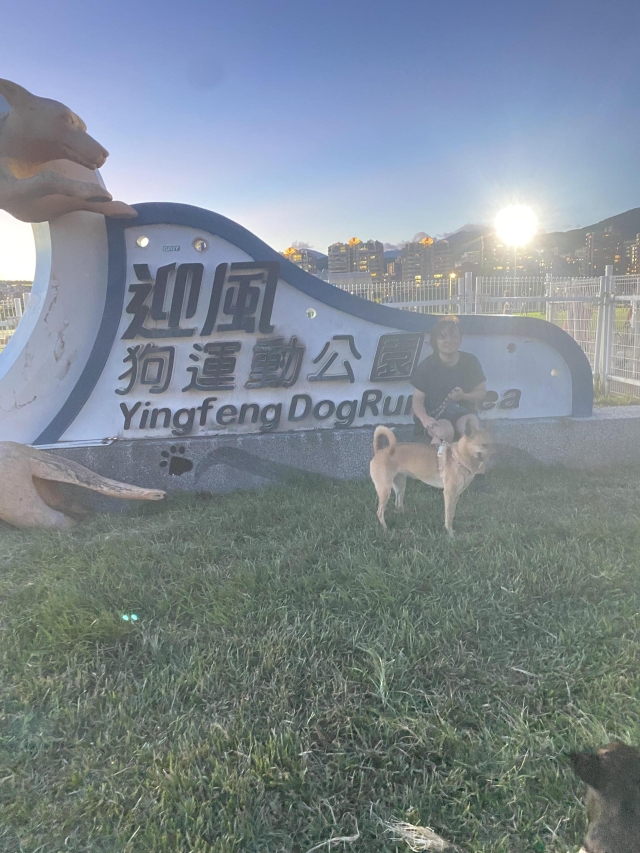 迎風狗狗公園散步日常（於迎風狗運動公園）-【毛起來拍！紀錄臺北狗公園的幸福瞬間】攝影徵稿與網路票選活動