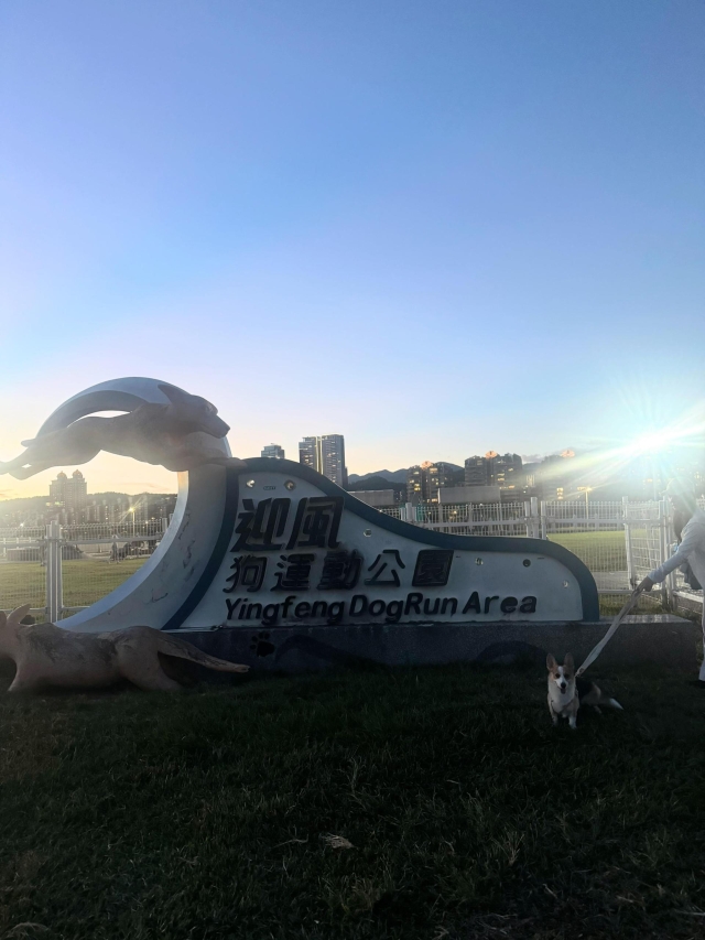 與寶寶的七夕（迎風狗公園）-【毛起來拍！紀錄臺北狗公園的幸福瞬間】攝影徵稿與網路票選活動