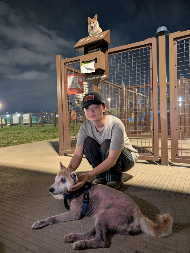 月光下遛不愛社交的柴犬(於美堤狗活動區)-【毛起來拍！紀錄臺北狗公園的幸福瞬間】攝影徵稿與網路票選活動