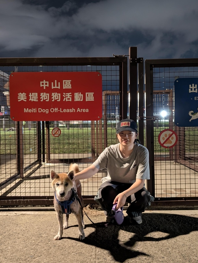 月光下遛不愛社交的柴犬(於美堤狗活動區)-【毛起來拍！紀錄臺北狗公園的幸福瞬間】攝影徵稿與網路票選活動