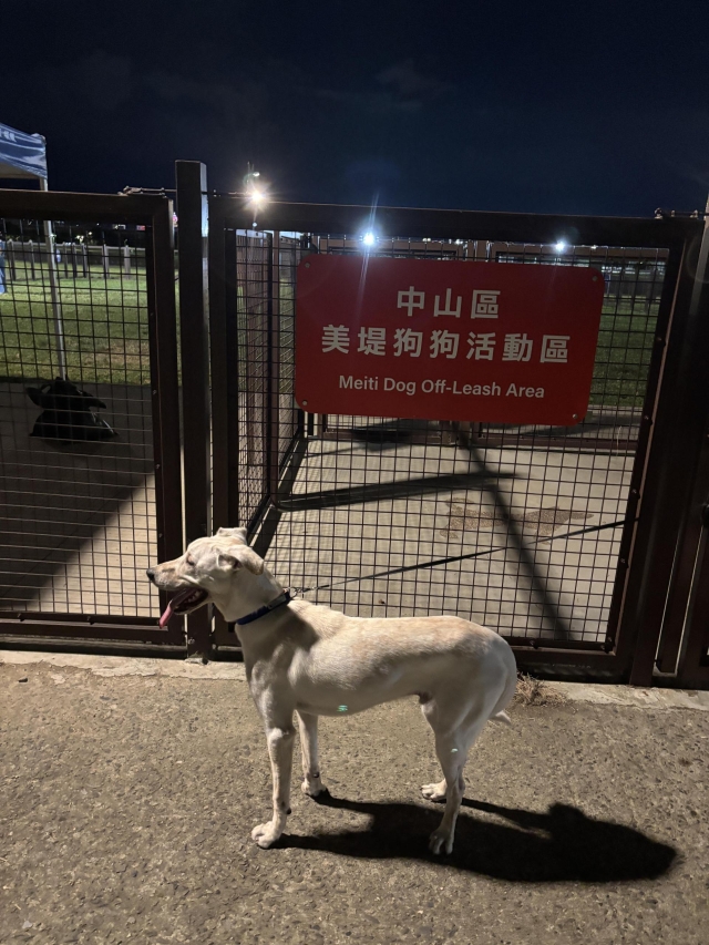 福全最喜歡來玩公園(於美堤狗活動區)-【毛起來拍！紀錄臺北狗公園的幸福瞬間】攝影徵稿與網路票選活動