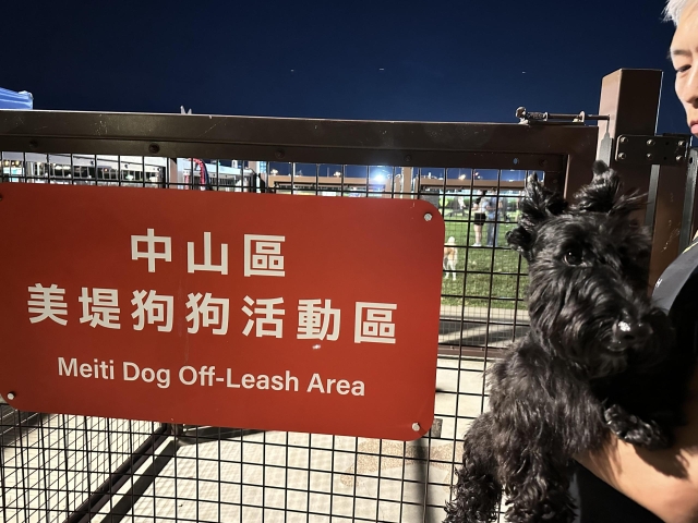 遛狗-美堤狗狗公園(於美堤狗活動區)-【毛起來拍！紀錄臺北狗公園的幸福瞬間】攝影徵稿與網路票選活動