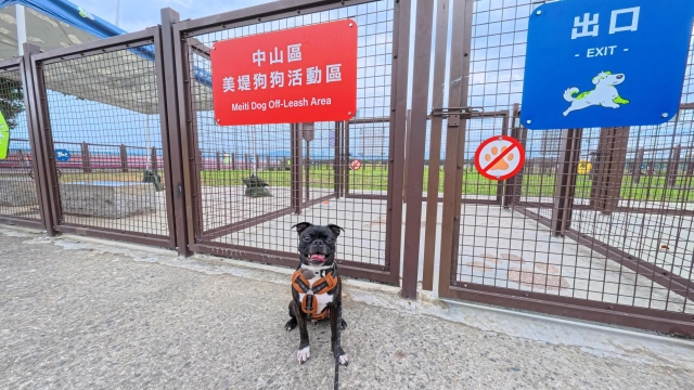 熊熊在美堤的快樂小狗跑跑日常(於美堤狗活動區)-【毛起來拍！紀錄臺北狗公園的幸福瞬間】攝影徵稿與網路票選活動