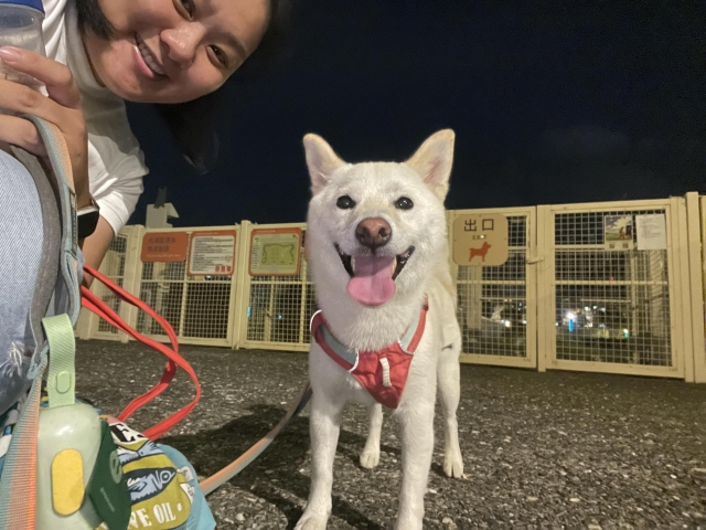 貝拉守球員(週美里狗公園)-【毛起來拍！紀錄臺北狗公園的幸福瞬間】攝影徵稿與網路票選活動
