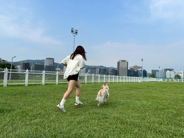 跑著跑著就是一輩子(於迎風狗運動公園)-【毛起來拍！紀錄臺北狗公園的幸福瞬間】攝影徵稿與網路票選活動