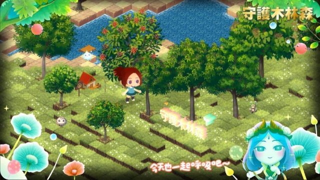 守護木林森 保種森林-「守護木林森：森之寫真・奇幻光影投票」