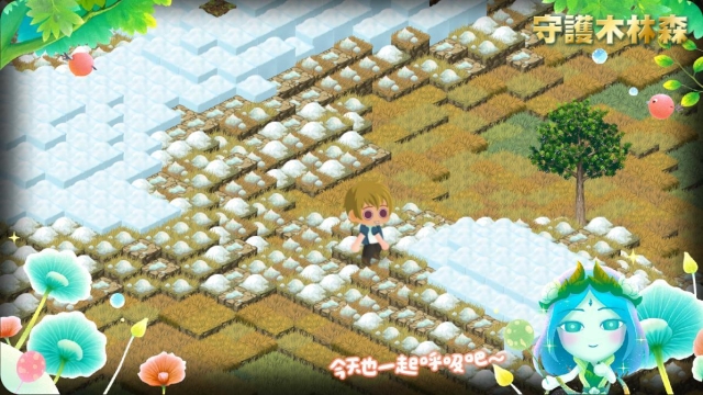 最喜歡我的林地-「守護木林森：森之寫真・奇幻光影投票」