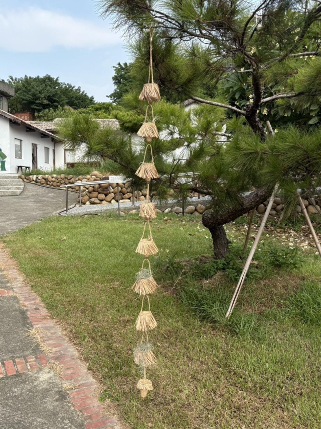 藺語（雨）-2025台灣藺草創作獎