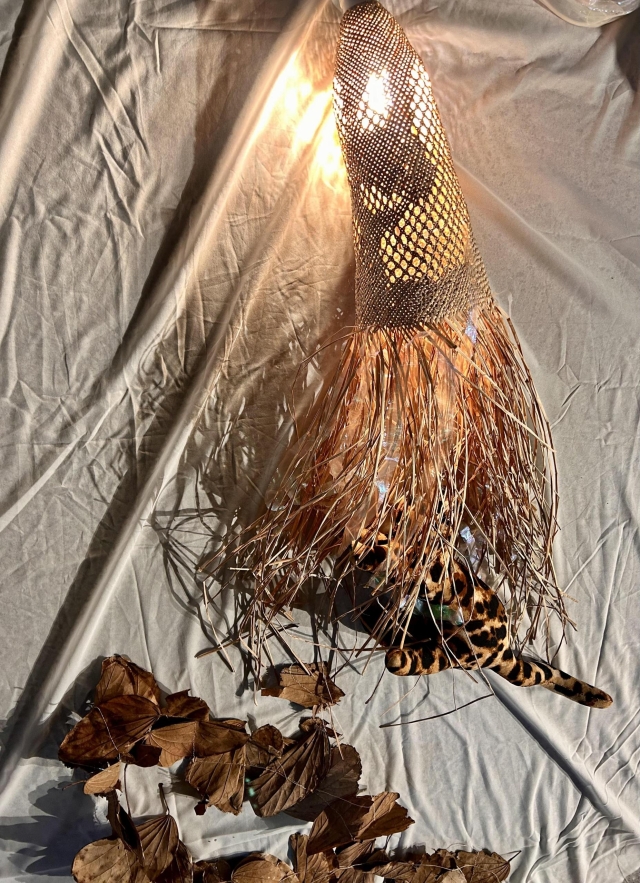 潛行之紋——石虎與溪流的對話 Ghost in the Mesh-2025台灣藺草創作獎