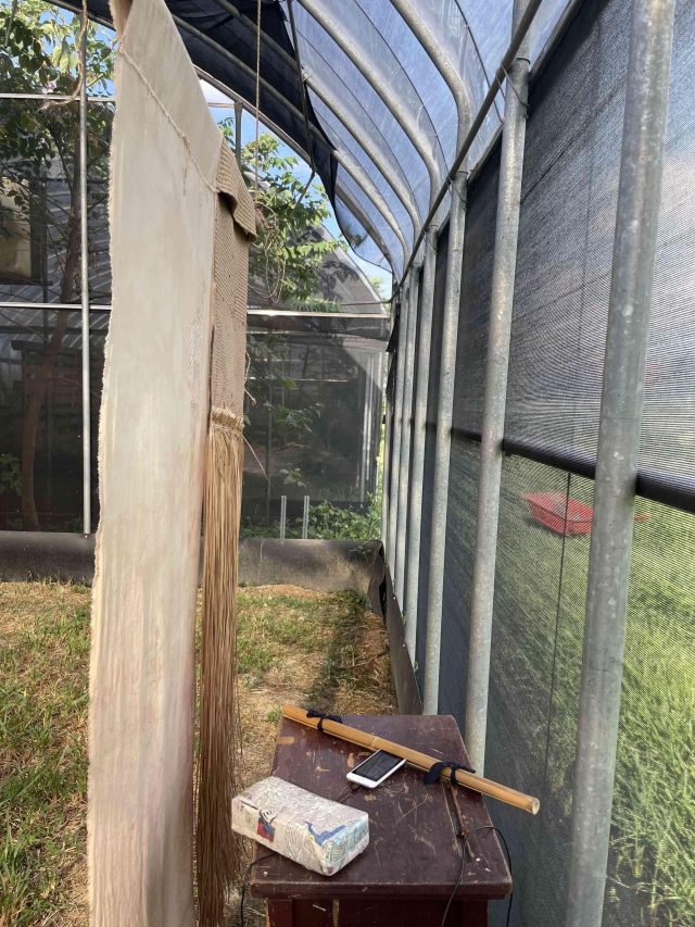 過程紀錄-2025台灣藺草創作獎