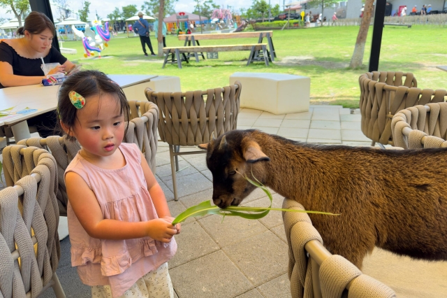 31-寵物天堂2-16-2025大潮藝文市集系列活動~潮州之美攝影比賽人氣獎票選活動