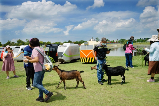 32-寵物世界1-17-2025大潮藝文市集系列活動~潮州之美攝影比賽人氣獎票選活動
