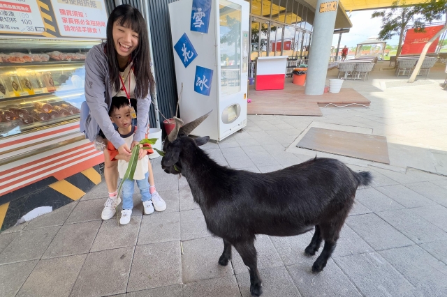33-寵物世界2-17-2025大潮藝文市集系列活動~潮州之美攝影比賽人氣獎票選活動