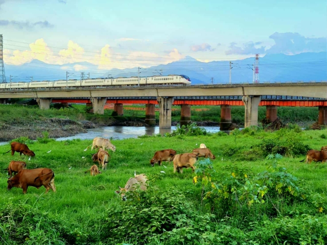 35-潮州鐵橋-18-2025大潮藝文市集系列活動~潮州之美攝影比賽人氣獎票選活動