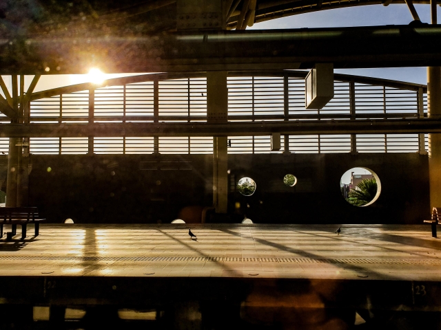 36-潮州月台-19-2025大潮藝文市集系列活動~潮州之美攝影比賽人氣獎票選活動