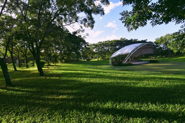 45-森林舞台晨景-23-2025大潮藝文市集系列活動~潮州之美攝影比賽人氣獎票選活動