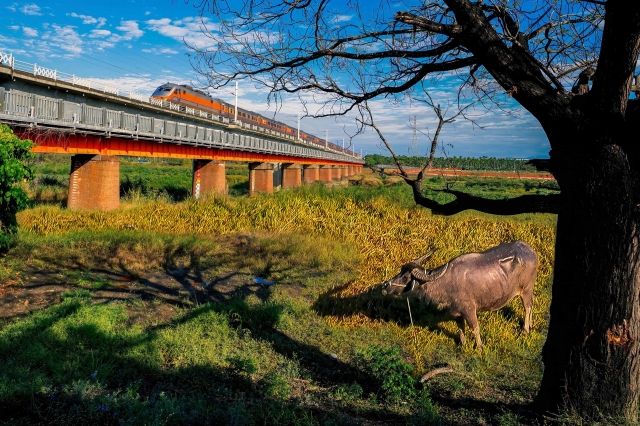51-疾風與悠閒-26-2025大潮藝文市集系列活動~潮州之美攝影比賽人氣獎票選活動