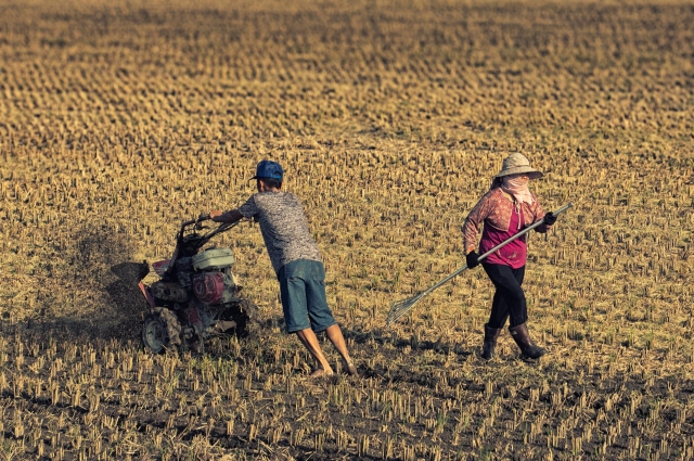 60-耕作-31-2025大潮藝文市集系列活動~潮州之美攝影比賽人氣獎票選活動