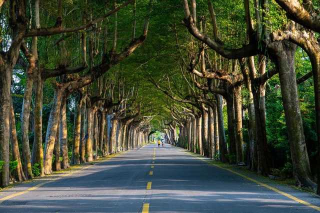 79-千手觀音-41-2025大潮藝文市集系列活動~潮州之美攝影比賽人氣獎票選活動