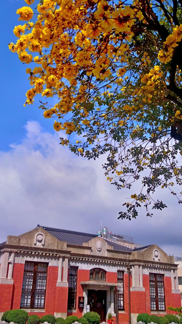 99-潮州戲曲館印象-51-2025大潮藝文市集系列活動~潮州之美攝影比賽人氣獎票選活動