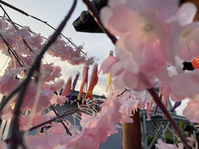 109-花框裡的鯉躍-57-2025大潮藝文市集系列活動~潮州之美攝影比賽人氣獎票選活動