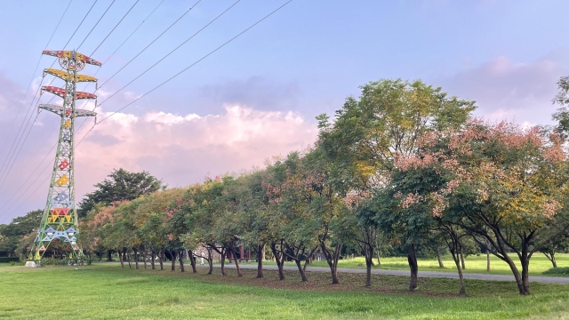 112-秋來了-59-2025大潮藝文市集系列活動~潮州之美攝影比賽人氣獎票選活動